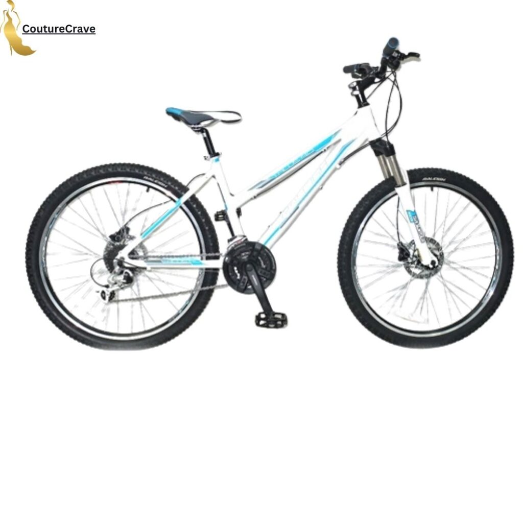 Raleigh Talus 4.0 Ladies